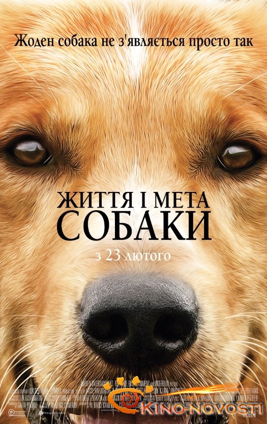 Про настоящую дружбу: рецензия на фильм "Жизнь и цель собаки" - Рецензии.
