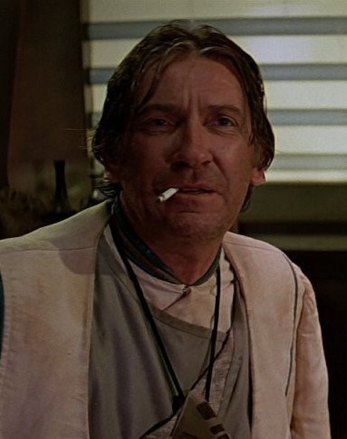 Дэвид Уорнер, актер - Новости