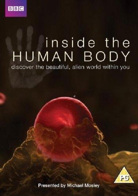 BBC: Внутри человеческого тела / Inside the Human Body (мини-сериал) (2011) - Трейлеры