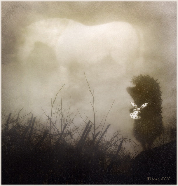 «Ёжик в тумане» - Трейлеры