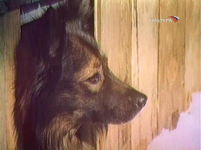 Жизнь и приключения четырех друзей (1980). Жизнь и приключения четырех друзей (1980). Жиззнь и прик л ючения 4 друзей. Жизнь и приключения четырех друзей (1980). Бубрик жизнь и приключения четырёх друзей.