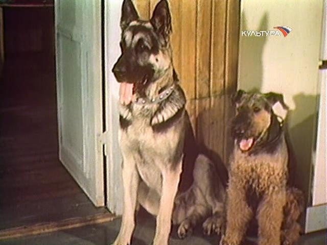 Фильм "Жизнь и приключения четырех друзей" 4 серии (1981) - Трейлеры