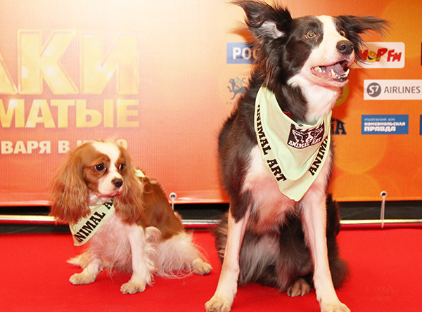 Елки Лохматые - Трейлеры