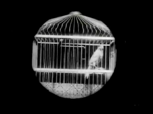 Бабушкина лупа (1900) - Трейлеры