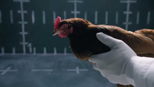 Начало новой войны: Jaguar против Mercedes - Трейлеры