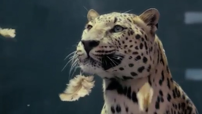 Начало новой войны: Jaguar против Mercedes - Трейлеры