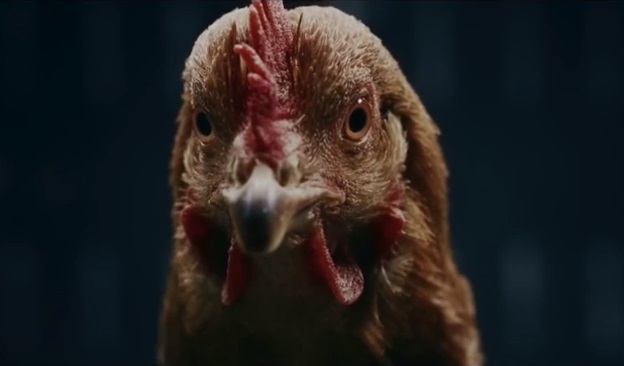 Mercedes-Benz: MAGIC BODY CONTROL - Трейлеры