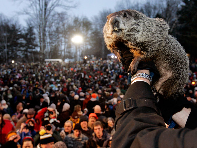 День сурка / Groundhog Day - Трейлеры