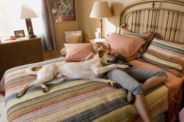 Марли и я (2008) - Трейлеры