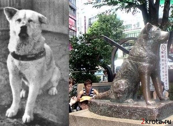 а ты сможешь посмотреть этот фильм и не заплакать. - Трейлеры а ты сможешь посмотреть этот фильм и не заплакать. - Трейлеры