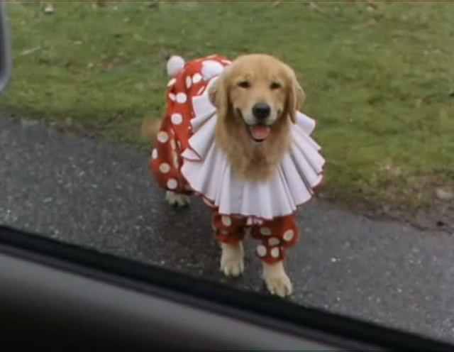 Король воздуха - Трейлеры