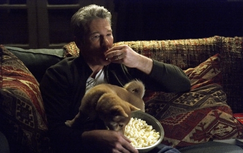 Хатико: Самый верный друг - Трейлеры