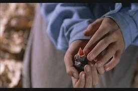 Фильм "Цвет рая"/Rang-e khoda - Трейлеры