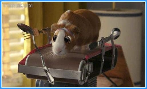 Плаксик - смешная морская свинка! - Трейлеры