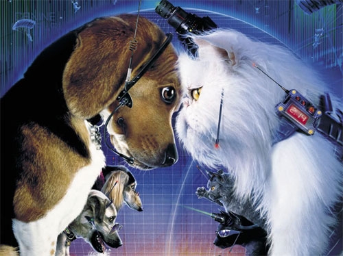 «Кошки против собак» – динамичная кинокомедия - Трейлеры