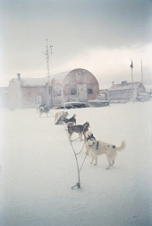Белый плен (Eight-Below) - Трейлеры Белый плен (Eight-Below) - Трейлеры