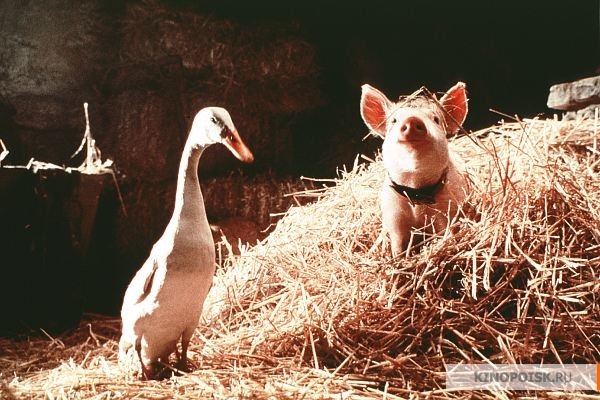 БЭЙБ(четвероногий малыш)-САМЫЙ ДОБРЫЙ ФИЛЬМ!!! - Трейлеры