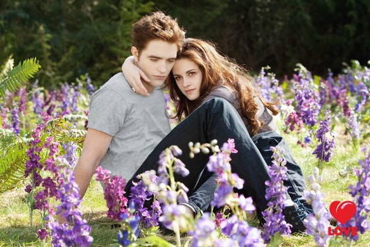 СУМЕРКИ любимые актёры - Трейлеры