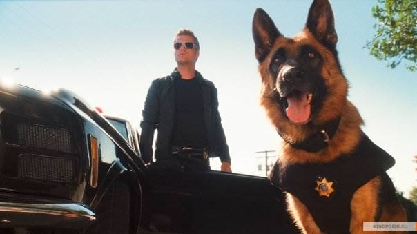 кошки против собак - Трейлеры кошки против собак - Трейлеры