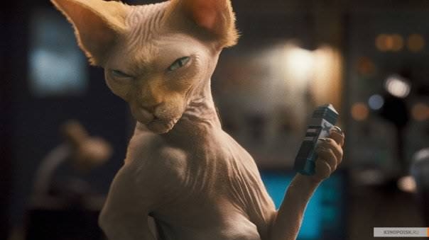 кошки против собак - Трейлеры кошки против собак - Трейлеры