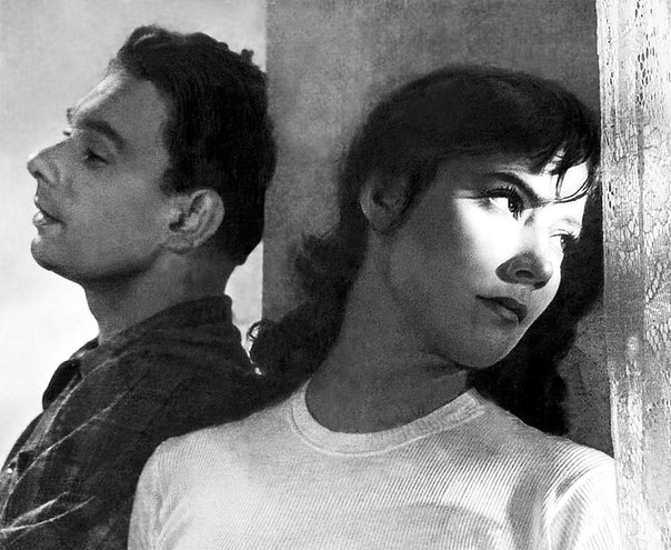 Фильм "Летят журавли" - Трейлеры