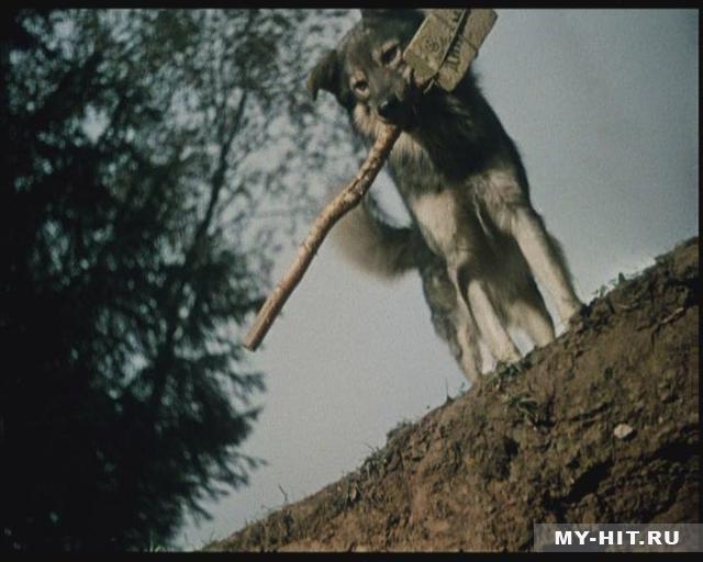 Пёс Барбос и необычайный кросс - Трейлеры Пёс Барбос и необычайный кросс - Трейлеры