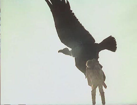 "В поисках капитана Гранта" - Трейлеры