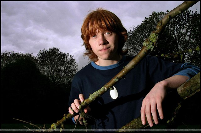 Руперт Гринт - Биографии