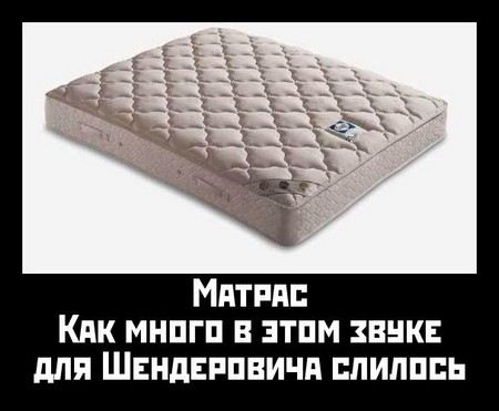 Биография Виктора Шендеровича - Режиссеры.