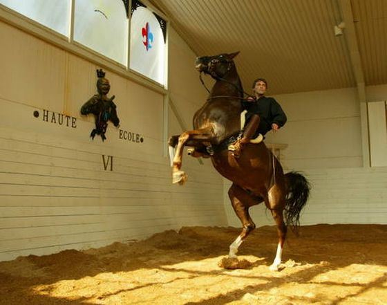 Биография Александра Невзорова - Режиссеры.