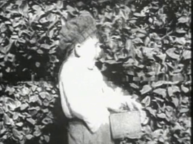 Лучший жилец (1914) - Трейлеры