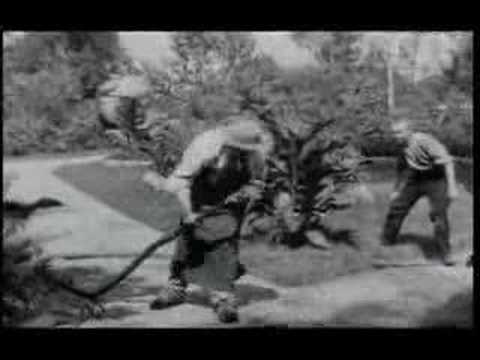 Политый поливальщик (1895) - Трейлеры