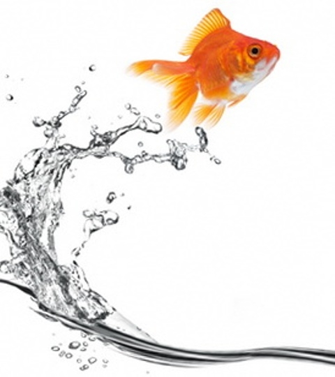 Сказочная Золотая рыбка - Трейлеры