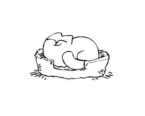 Кот Саймона - Трейлеры Кот Саймона - Трейлеры