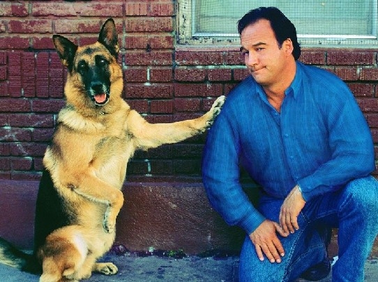 К-9: Собачья работа - Трейлеры