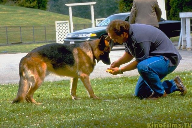 К-9: Собачья работа - Трейлеры