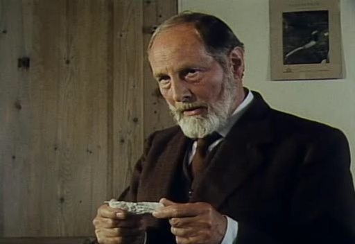 Следы на снегу. - Трейлеры