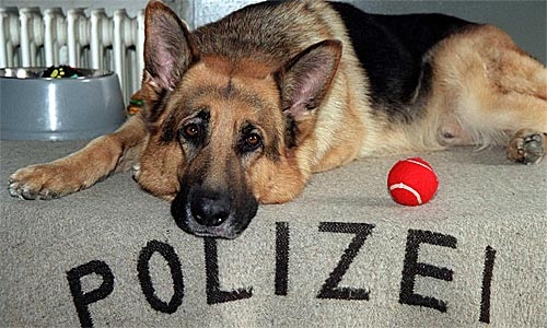 Фильм "Комиссар Рекс" - Трейлеры