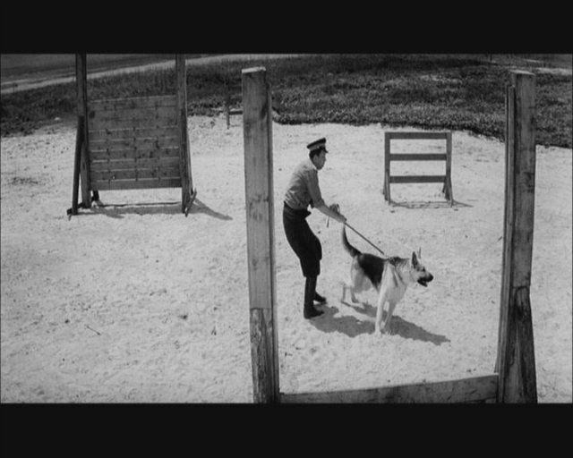 Ко мне, Мухтар! (1964) - Трейлеры