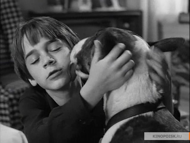 Франкенвини / Frankenweenie (1984) - Трейлеры Франкенвини / Frankenweenie (1984) - Трейлеры