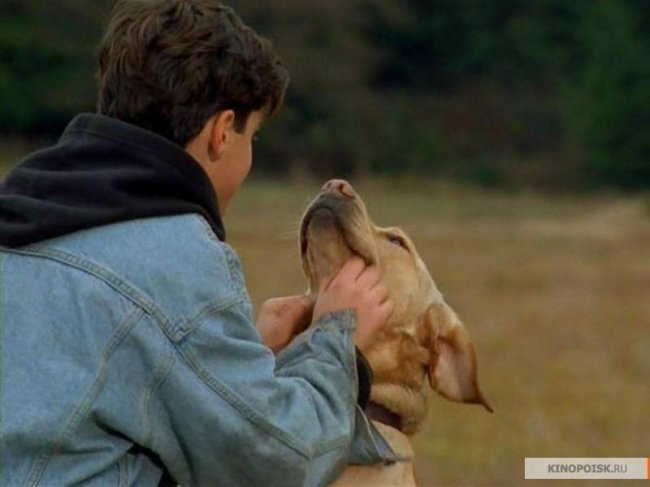 Далеко от дома: Приключения желтого пса (1994) - Трейлеры