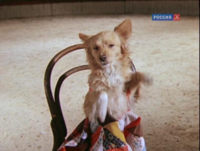 Фильм "Каштанка" (1975) - Трейлеры