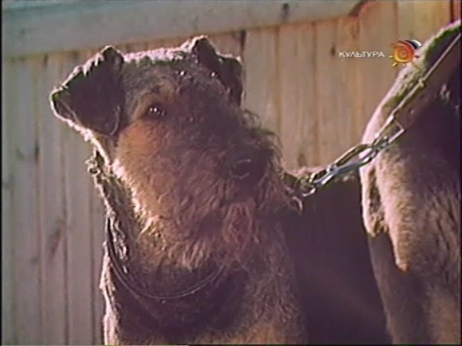 Фильм "Жизнь и приключения четырех друзей" 4 серии (1981) - Трейлеры