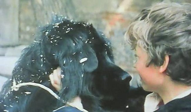 Фильм "Дом с привидениями" (1987) - Трейлеры