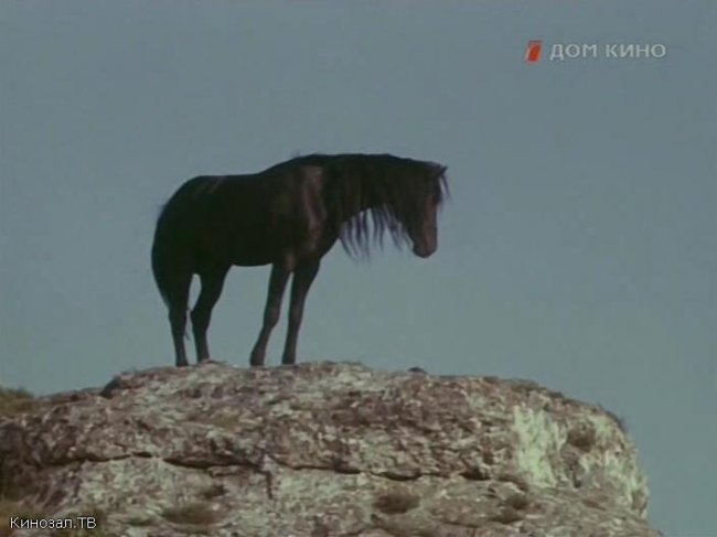 Фильм "Мустанг - иноходец" (1976) - Трейлеры