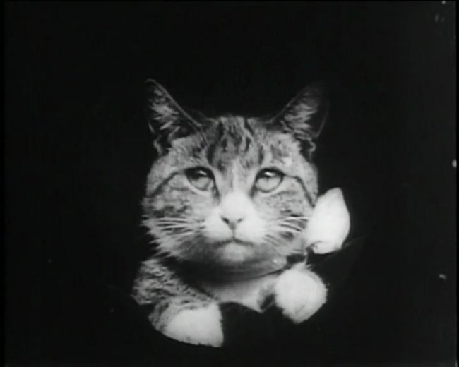 Бабушкина лупа (1900) - Трейлеры