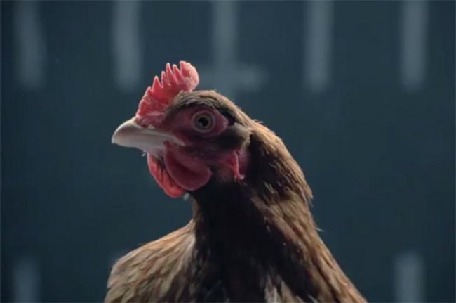 Начало новой войны: Jaguar против Mercedes - Трейлеры