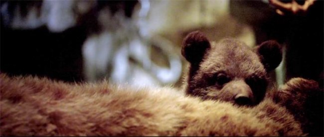 Земля медведей (2013) - Трейлеры