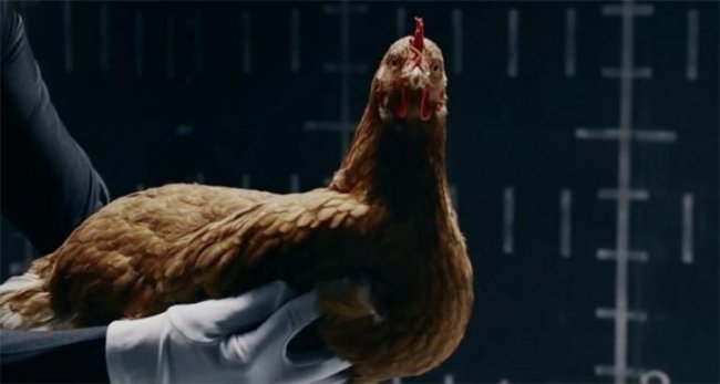 Mercedes-Benz: MAGIC BODY CONTROL - Трейлеры