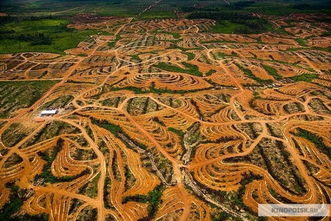 Дом. Свидание с планетой/Home (2009) - Трейлеры